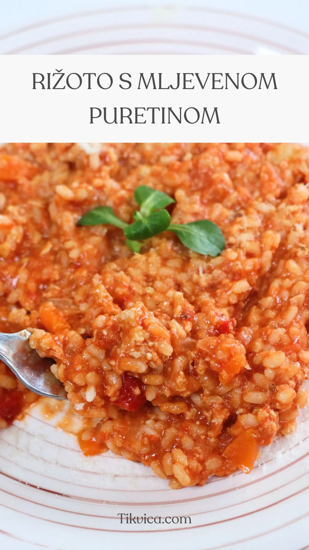 Rižoto s mljevenom puretinom [Recept sa slikama] - Tikvica